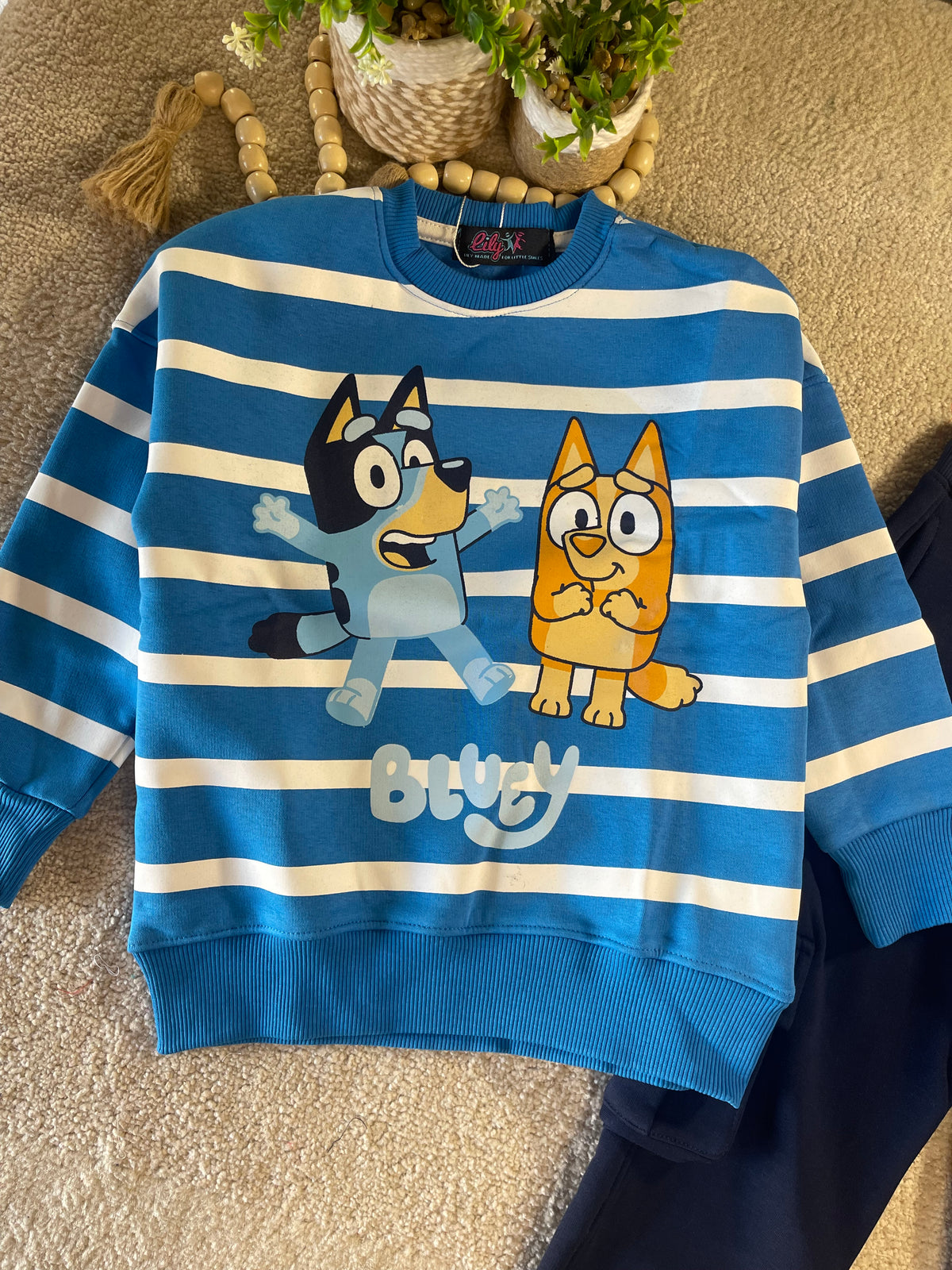 Bluey Adventure Outing Set