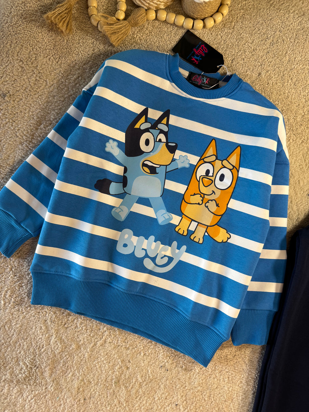 Bluey Adventure Outing Set