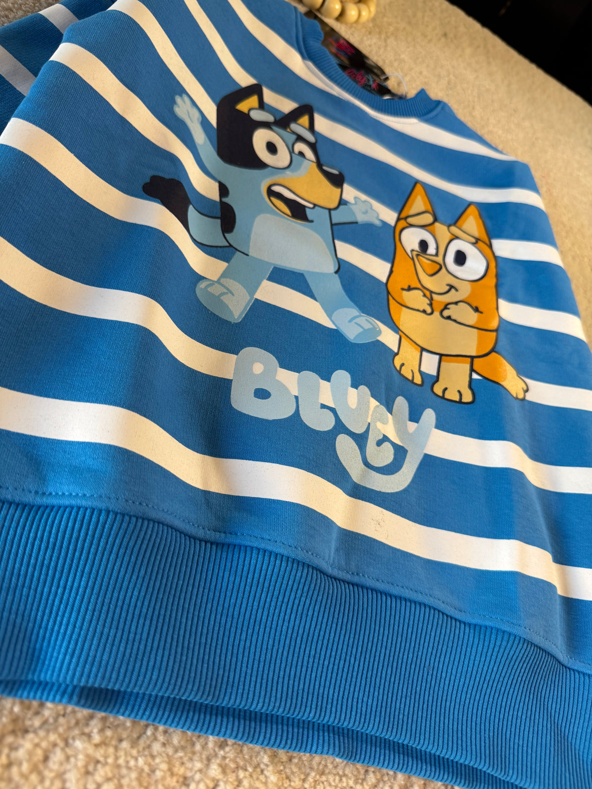 Bluey Adventure Outing Set