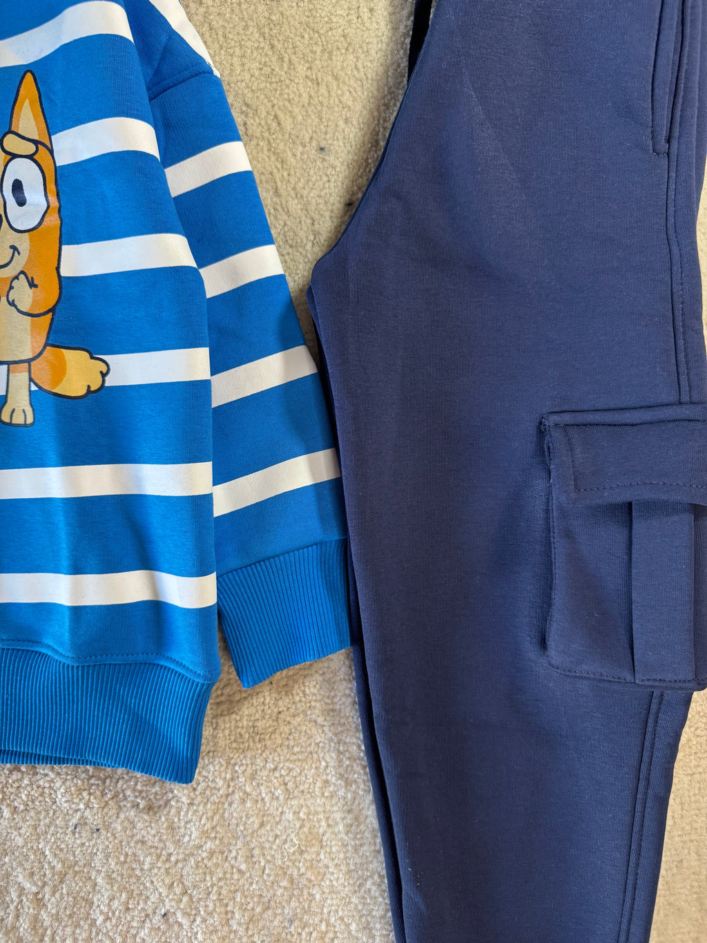 Bluey Adventure Outing Set