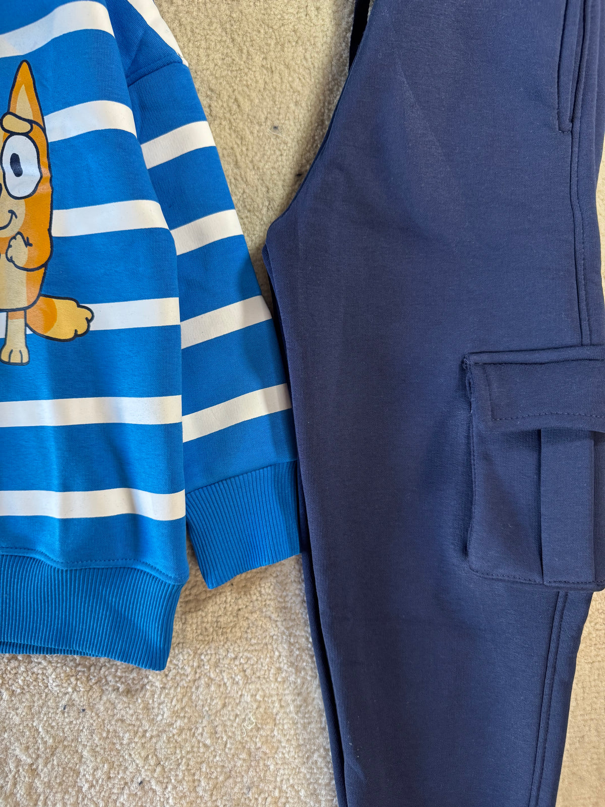 Bluey Adventure Outing Set