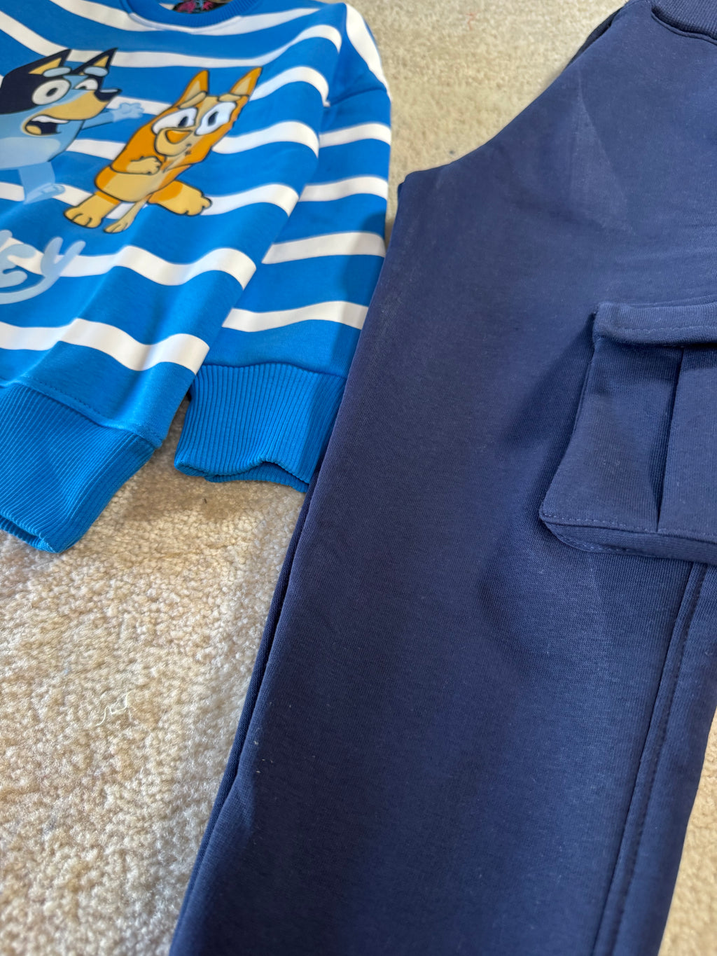 Bluey Adventure Outing Set