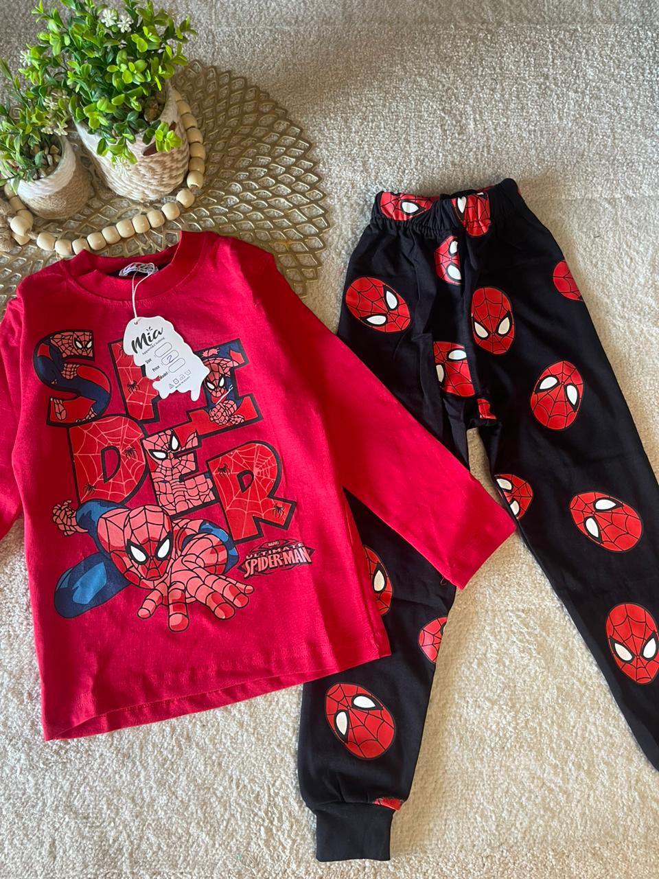 Spider Hero PJ